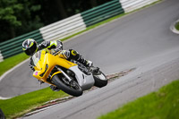 Advanced Group Yellow Bikes